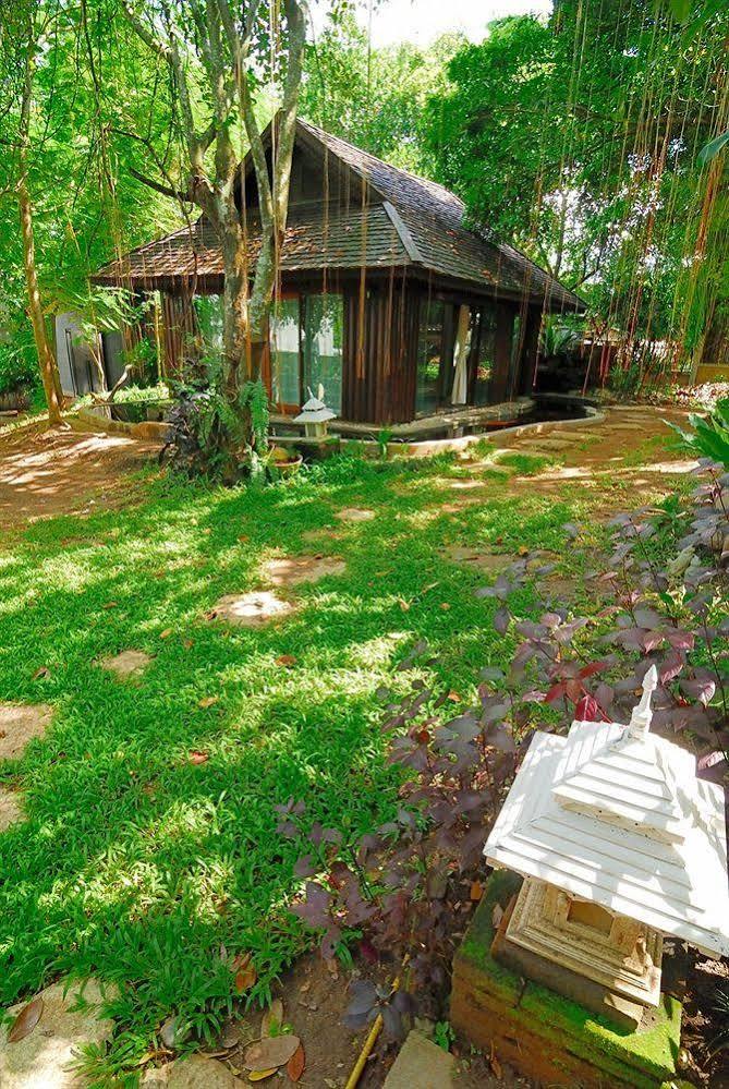 Viva Chiang Mai Nature Home Stay Ngoại thất bức ảnh